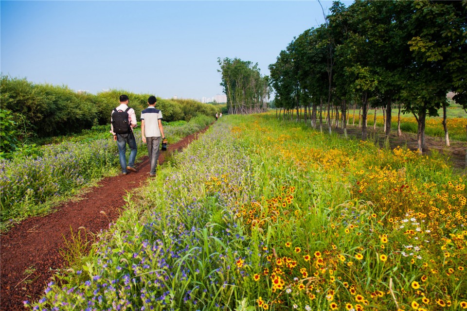 09_The Harbin Cultural Center Wetland Park by Turenscape
