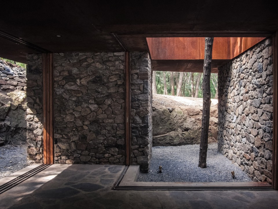 洞口与树opening and tree
