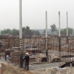 林建筑－与自然树木的共舞 / 迹·建筑事务所（华黎）