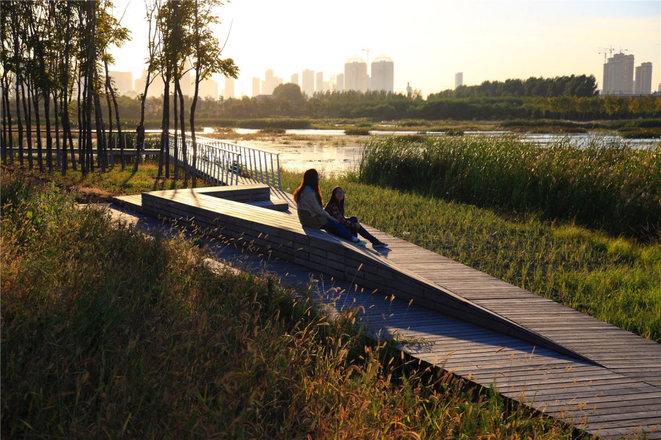 10_The Harbin Cultural Center Wetland Park by Turenscape
