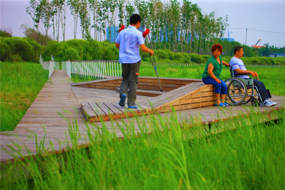 11_The Harbin Cultural Center Wetland Park by Turenscape