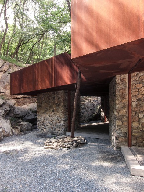 建筑与树building and tree
