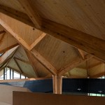 林建筑－与自然树木的共舞 / 迹·建筑事务所（华黎）