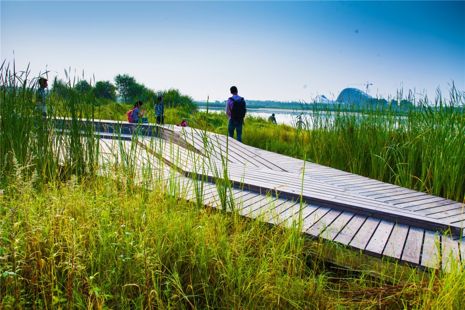 12_The Harbin Cultural Center Wetland Park by Turenscape