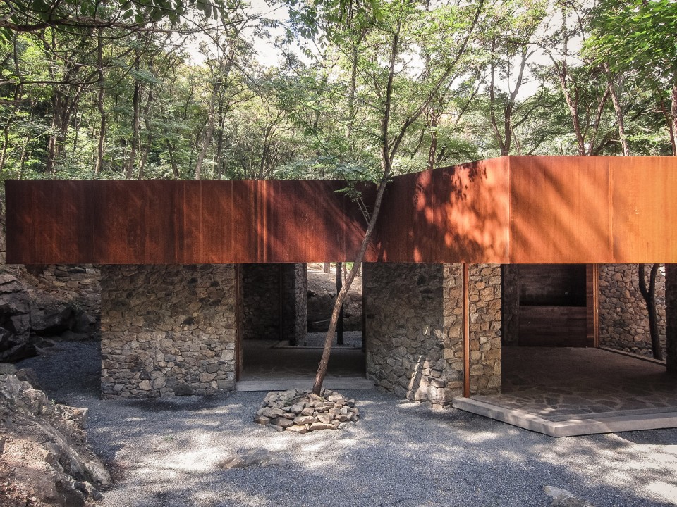 建筑与树building and tree