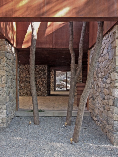 建筑与树building and tree