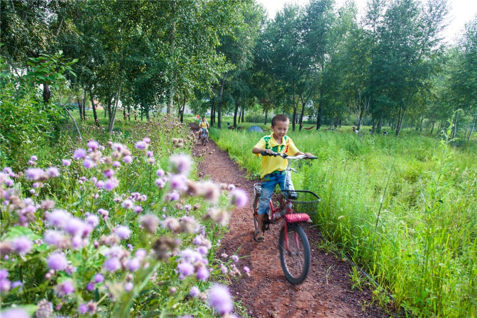 14_The Harbin Cultural Center Wetland Park by Turenscape