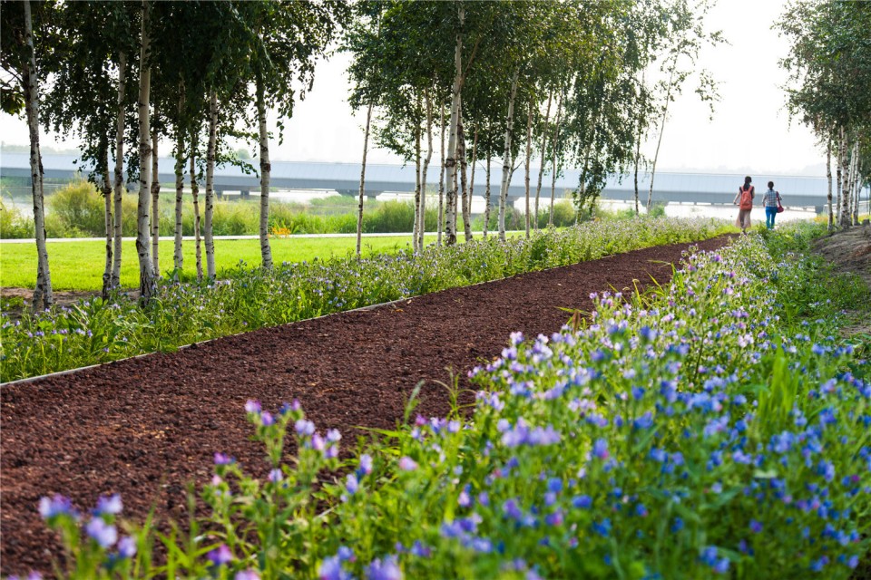 15_The Harbin Cultural Center Wetland Park by Turenscape