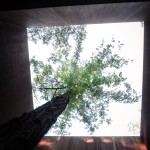 岩景茶室，威海，中国 / 迹·建筑事务所（华黎）