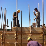 林建筑－与自然树木的共舞 / 迹·建筑事务所（华黎）