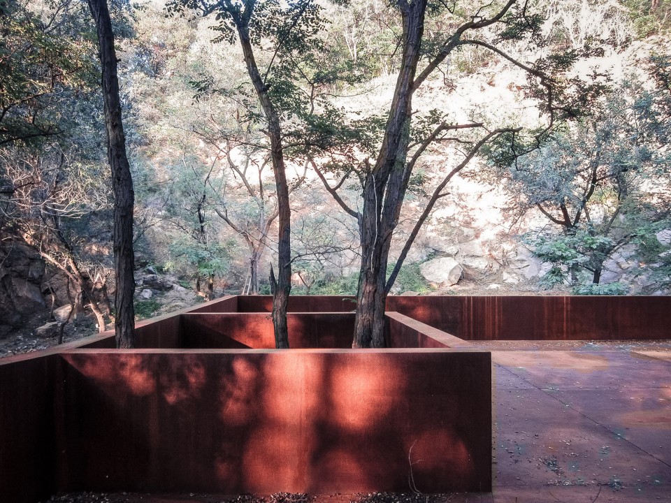 建筑与树building and tree