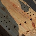 林建筑－与自然树木的共舞 / 迹·建筑事务所（华黎）