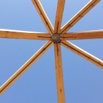 林建筑－与自然树木的共舞 / 迹·建筑事务所（华黎）