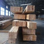 林建筑－与自然树木的共舞 / 迹·建筑事务所（华黎）