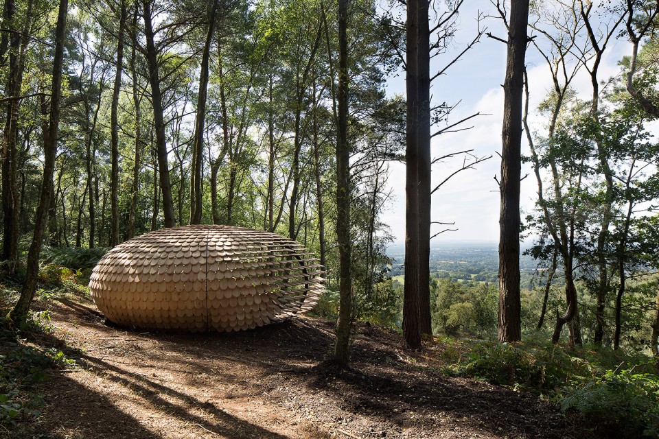 8-Perspectives by Giles Miller Studio