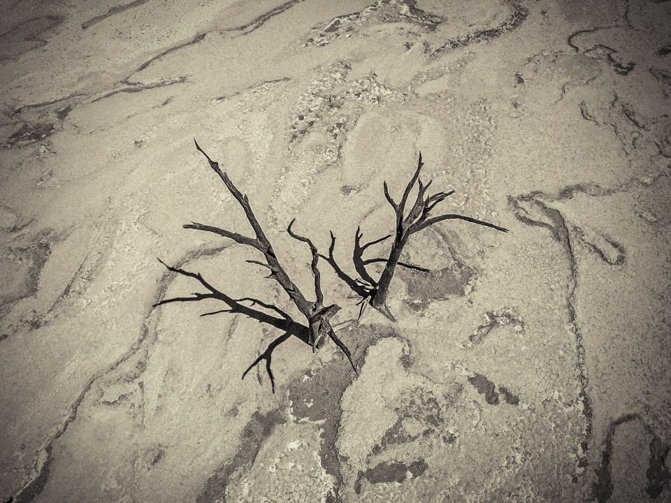 Images shot with a drone.