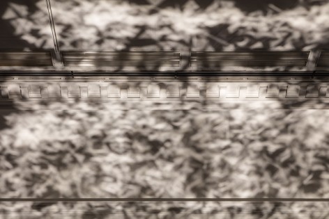 Foil by Layer x Braun -11