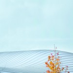“柔和”的学校－法国Trivaux-Garenne校园 / GAETAN LE PENHUEL & ASSOCIÉS ARCHITECTES