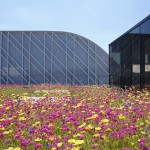 “柔和”的学校－法国Trivaux-Garenne校园 / GAETAN LE PENHUEL & ASSOCIÉS ARCHITECTES