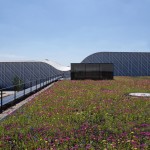 “柔和”的学校－法国Trivaux-Garenne校园 / GAETAN LE PENHUEL & ASSOCIÉS ARCHITECTES