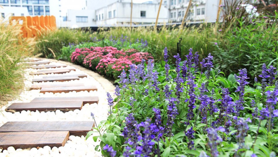 006-JOY GARDEN by IUG