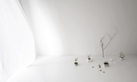 019-small room small green_Jun Murata