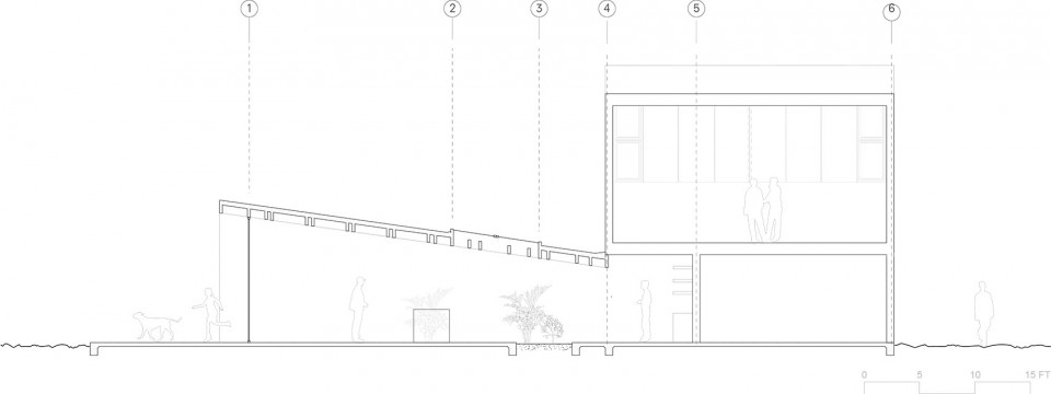 section