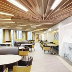 灰红锐影 - Clichy-Batignolles巴黎生态区疗养院 / Atelier du Pont
