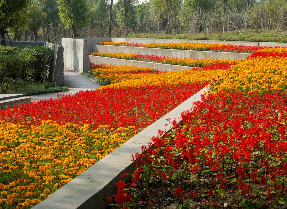 2016 ASLA -NingboEco_10