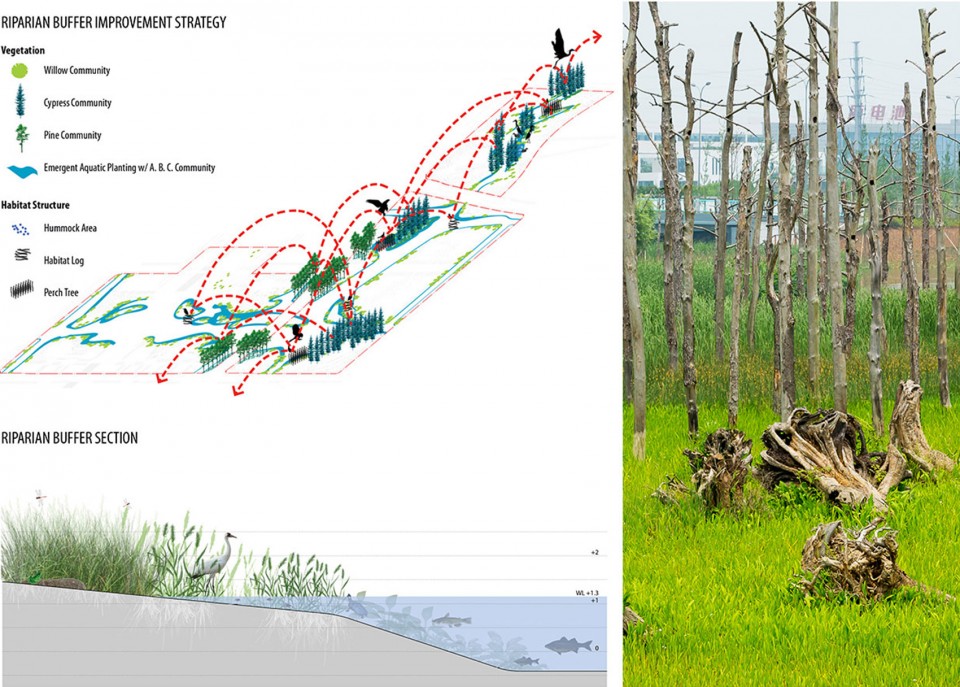 2016 ASLA -NingboEco_11
