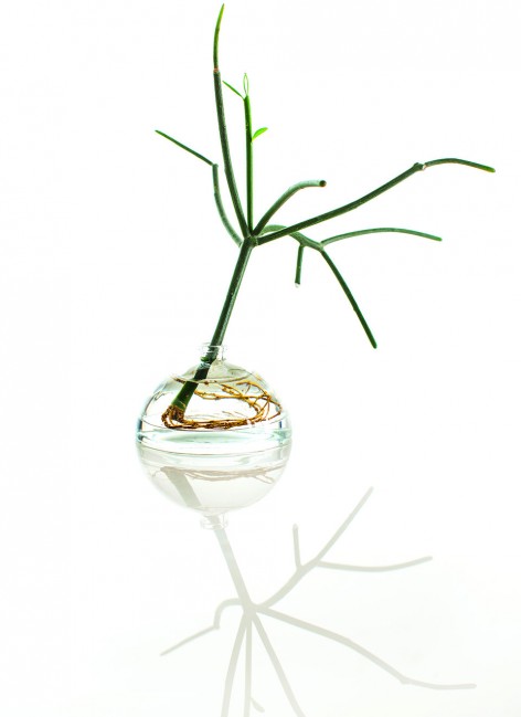 5-XINU AS AN OBJECT