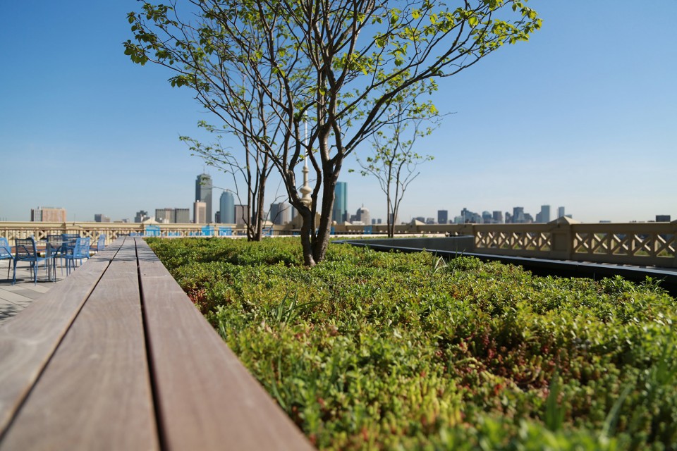 Bolling green roof_04