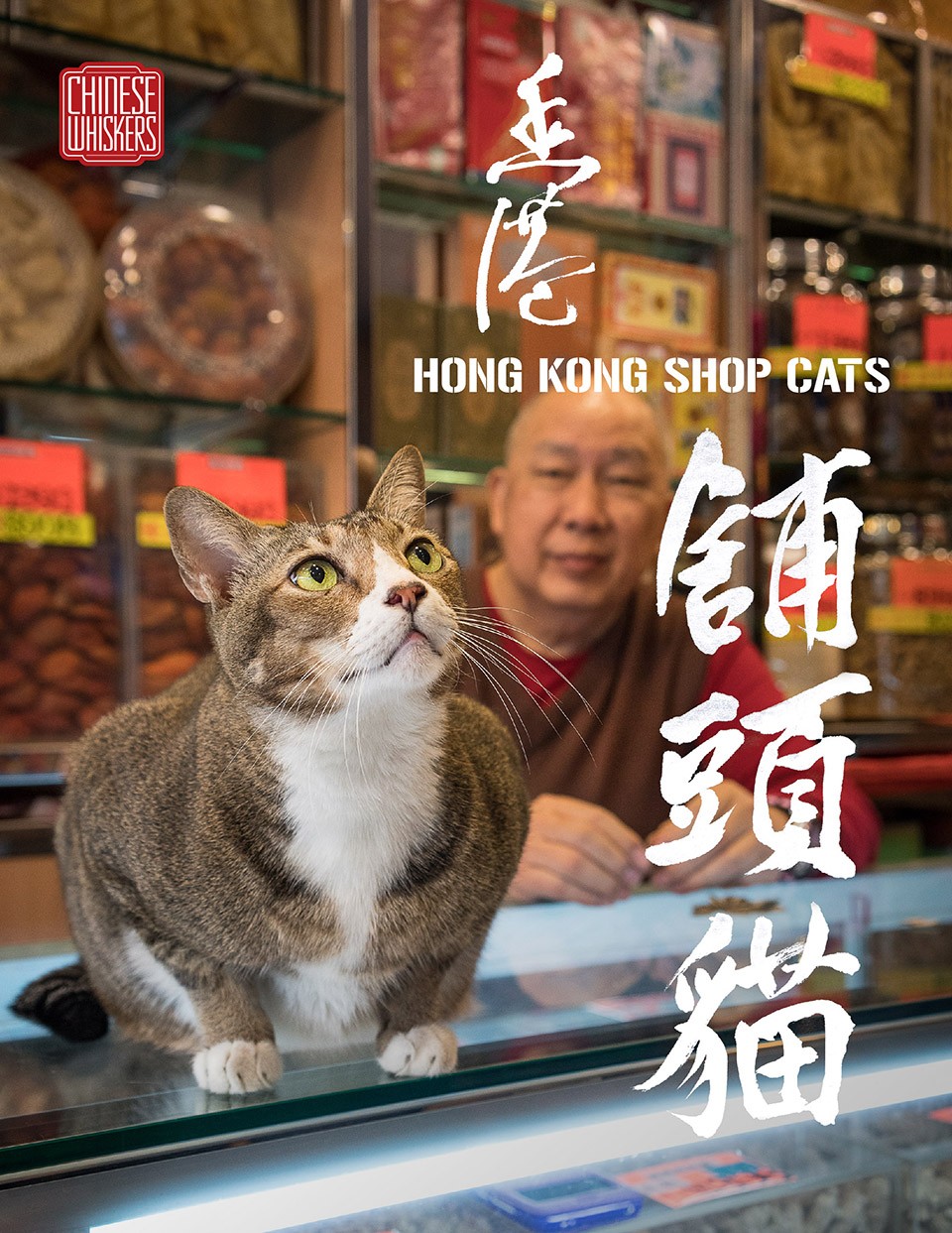 HK Shop Cats book cover