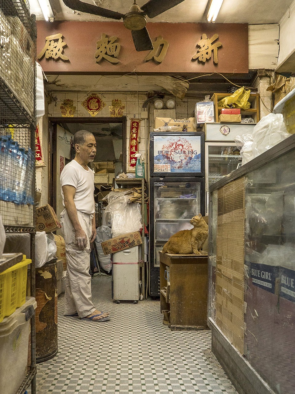 M. Heijnen, HK Shop Cats #13