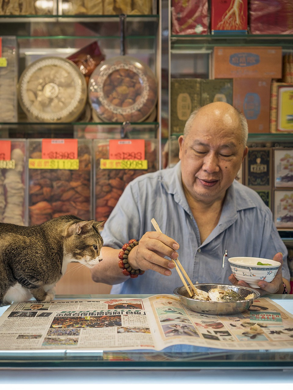 M. Heijnen, HK Shop Cats #22