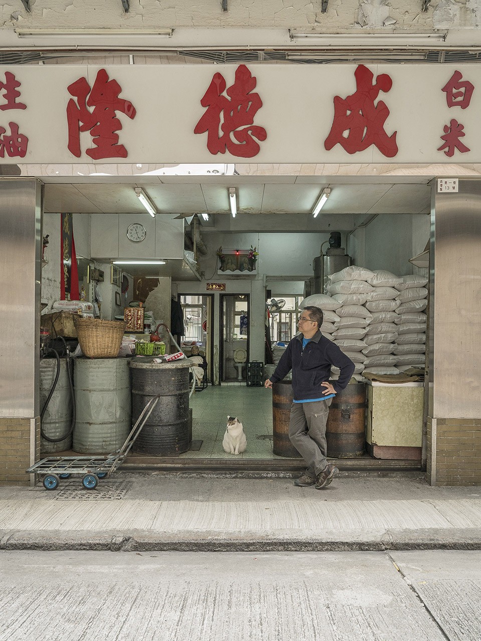 M. Heijnen, HK Shop Cats #33