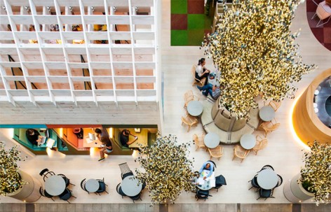 悉尼奥华Woolloomooloo酒店 / HASSELL