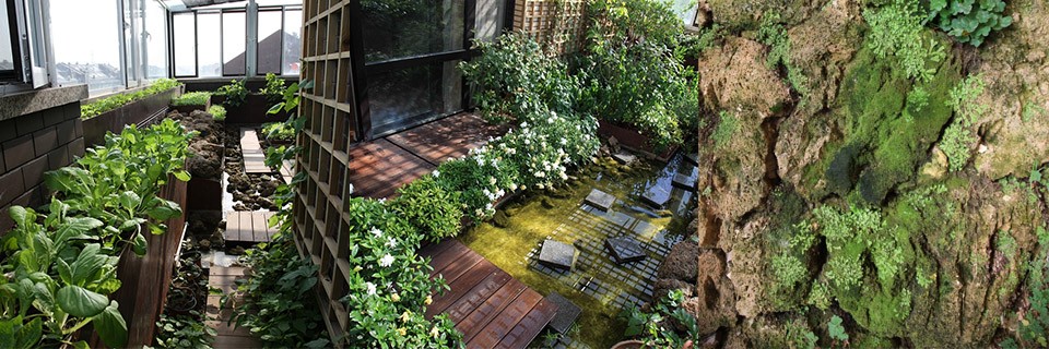 ▽ 俞孔坚家的阳台 the balcony at kongjian yus placemy balcony