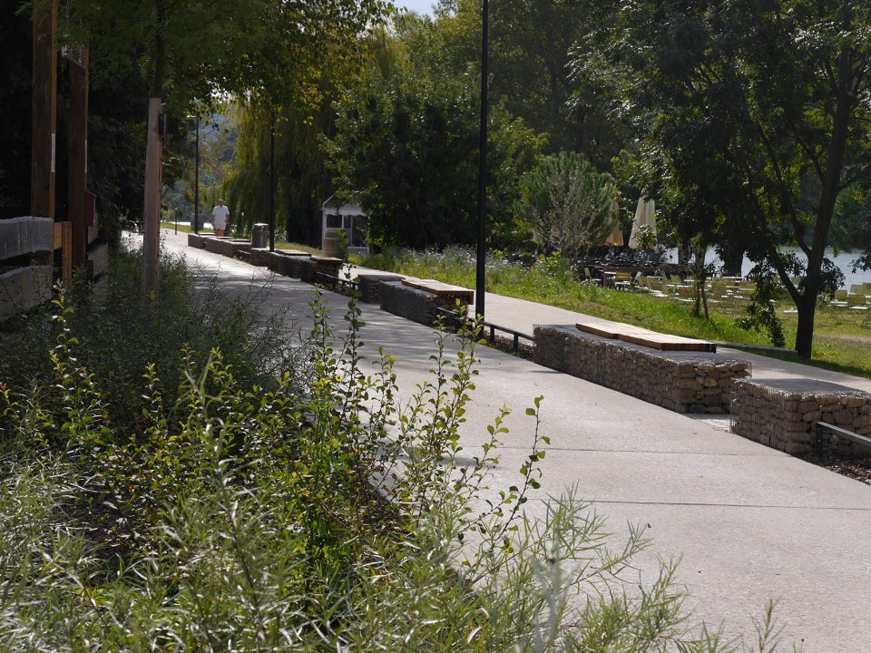 006-Rochetaillee Saone riverbanks by in situ