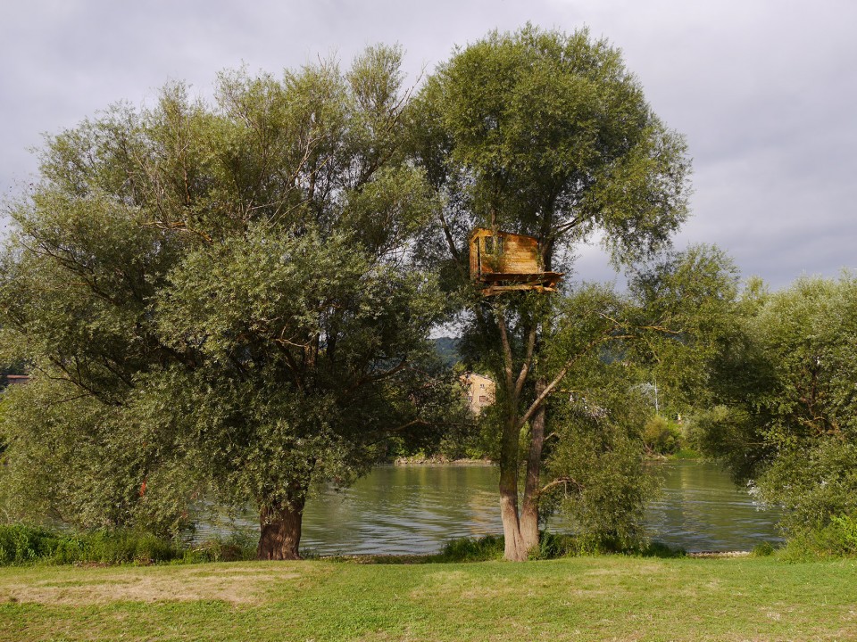 009-Rochetaillee Saone riverbanks by in situ