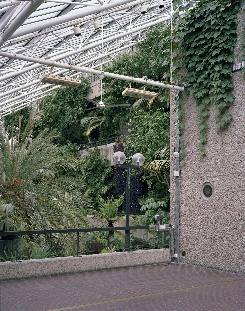 011-barbican conservatory_luke hayes