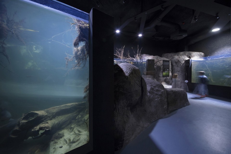 012-Karlovac freshwater aquarium and museum of rivers by Studio 3LHD