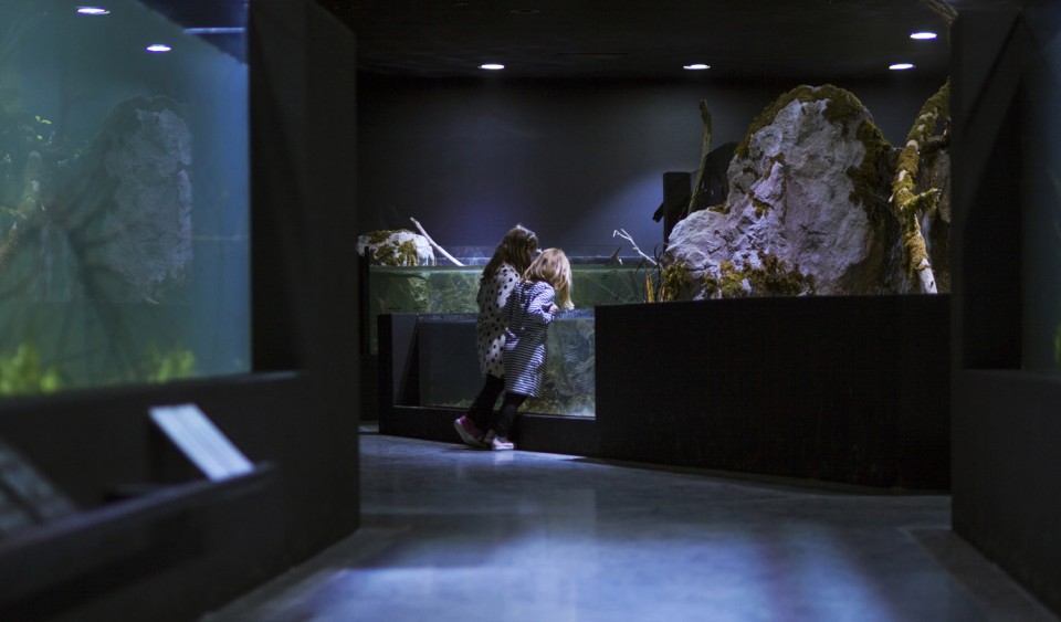 013-Karlovac freshwater aquarium and museum of rivers by Studio 3LHD
