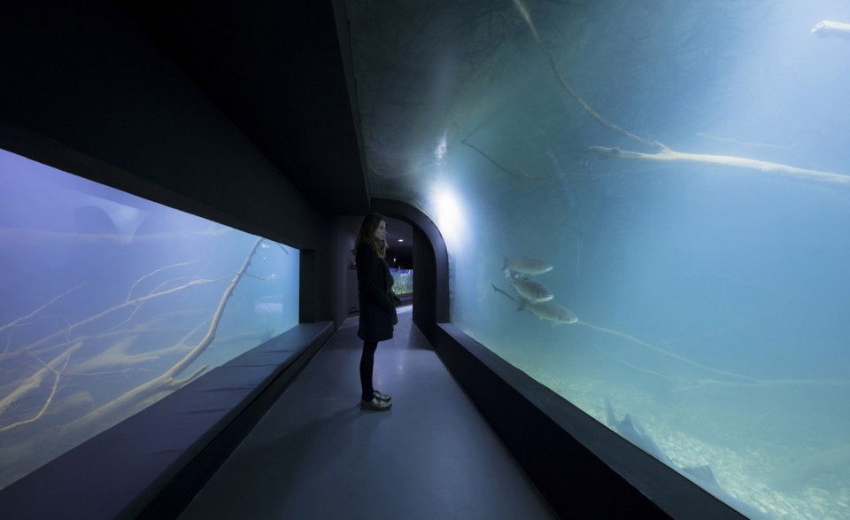 016-Karlovac freshwater aquarium and museum of rivers by Studio 3LHD