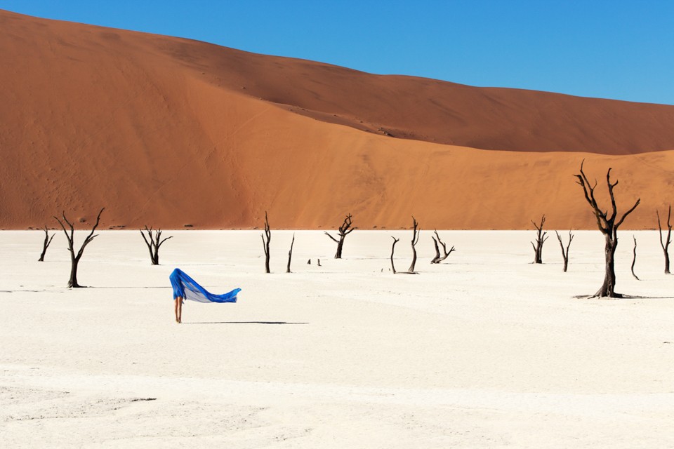 01_CW_DTA_Namibia_Aristea_ecklonii