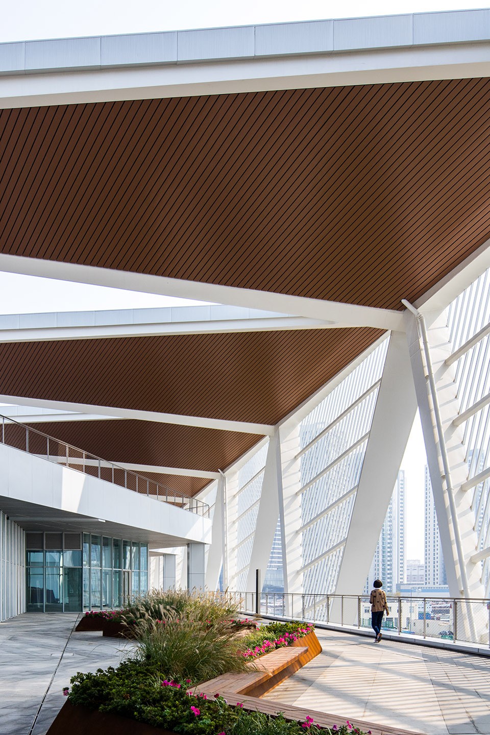 024-Qingdao Cruise Terminal_CCDI
