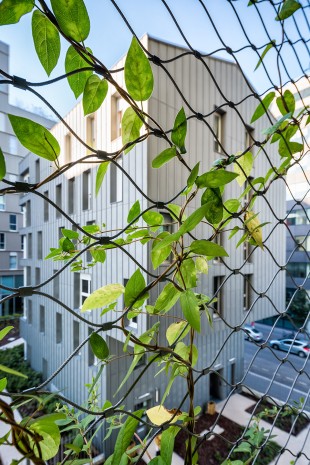 10-M6B2 Tower of Biodiversity, Paris by Maison Edouard Francois