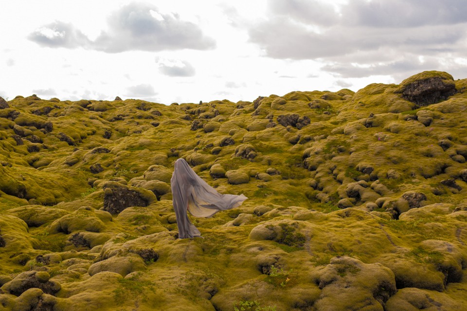 12_CW_DTA_Iceland_Cetraria islandica