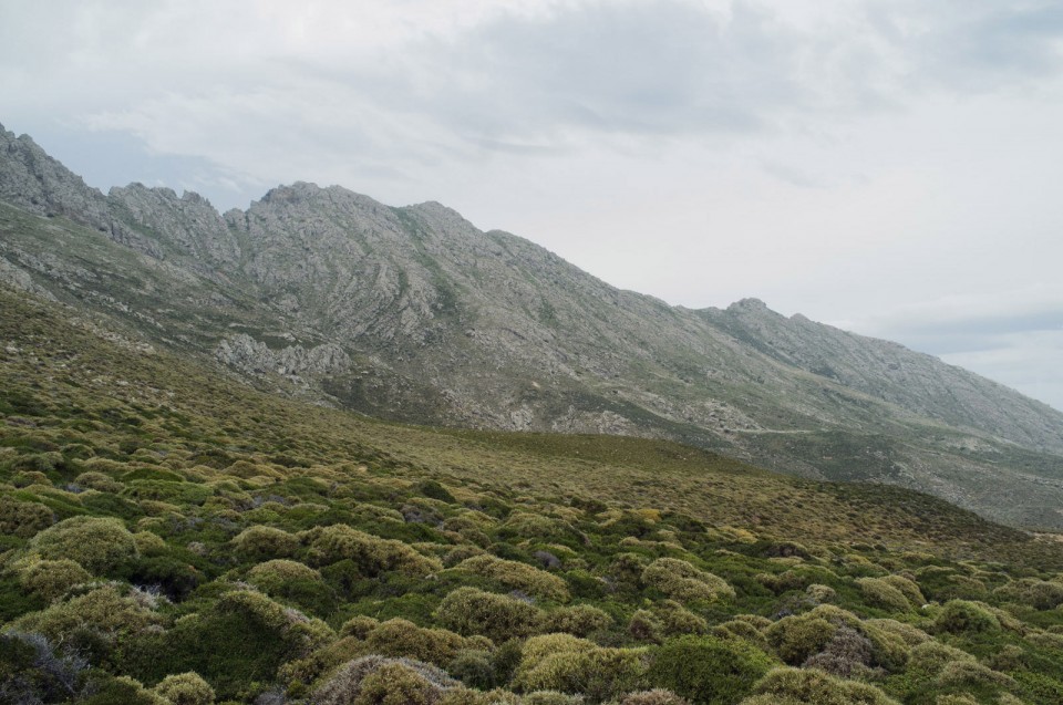 14-ANAMA by Petros Koublis