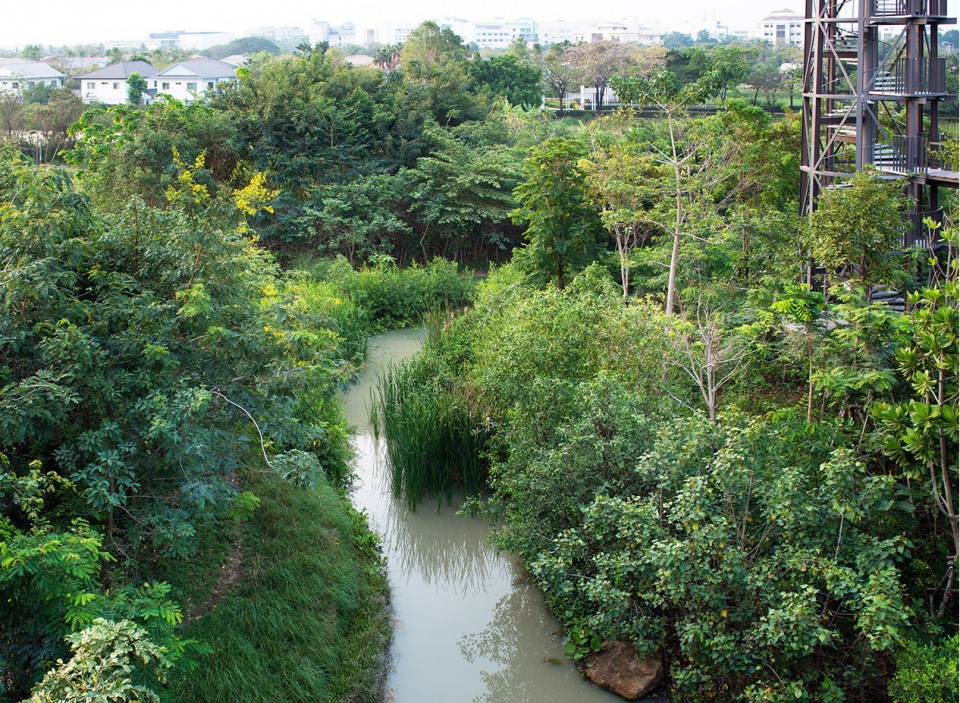 2016-asla-MetroForestProject_12
